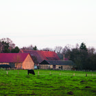 Hofidylle im Münsterland