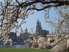 Hofkirche Dresden