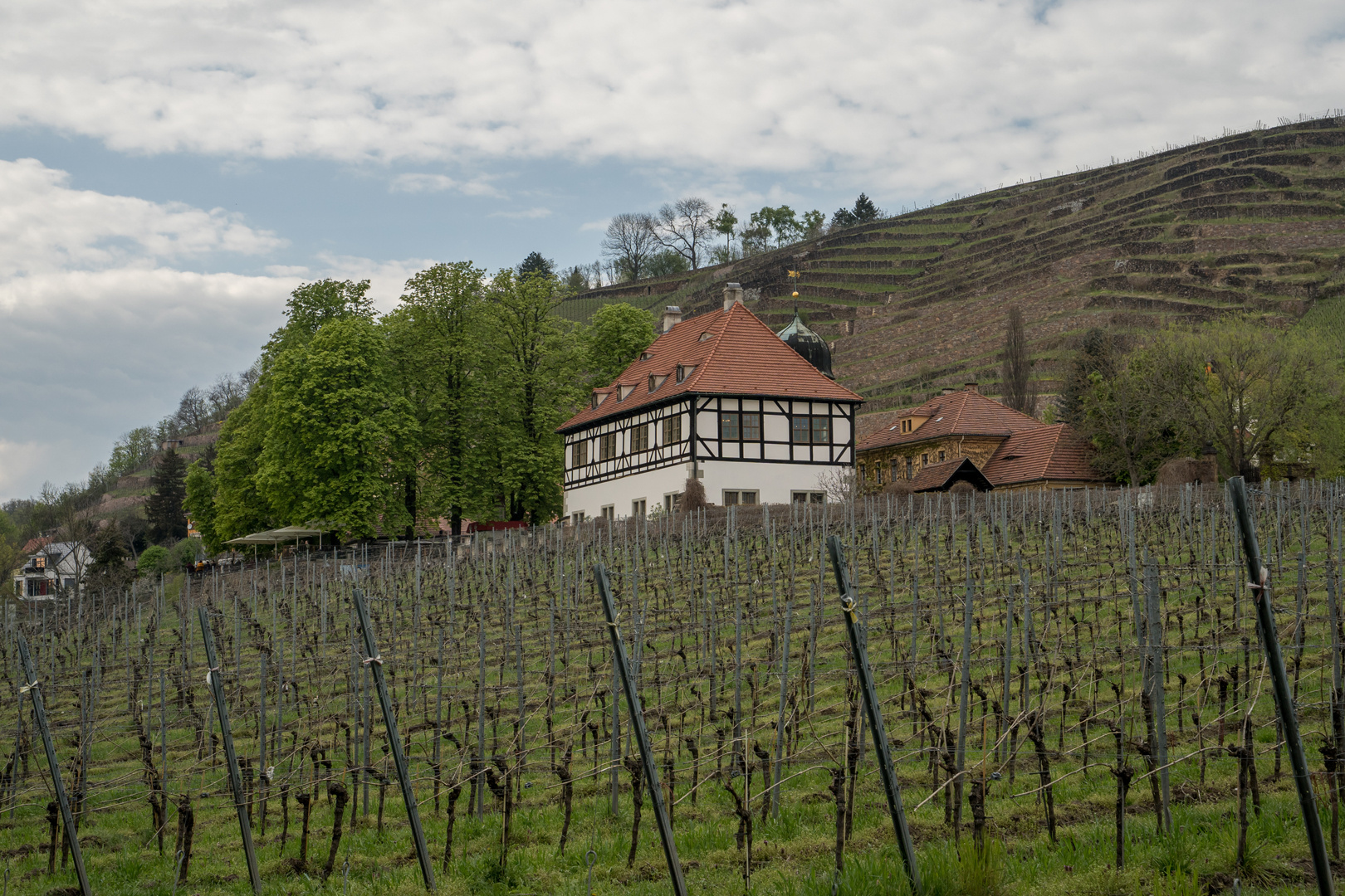 Hoflösnitz Radebeul