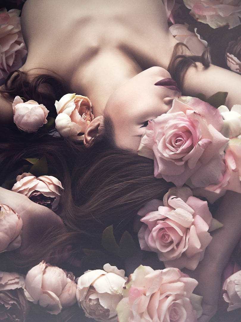 Hofmann-Larina Photography Beauty Test Roses