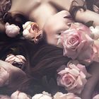 Hofmann-Larina Photography Beauty Test Roses