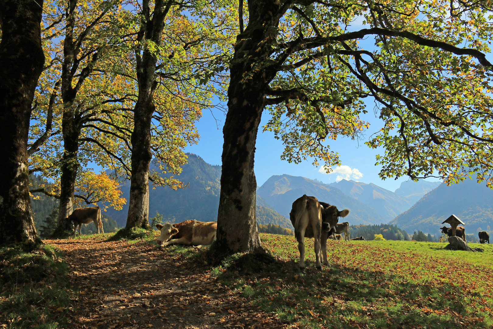 Hofmannsruh ein magischer Ort