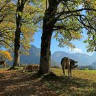 Hofmannsruh ein magischer Ort