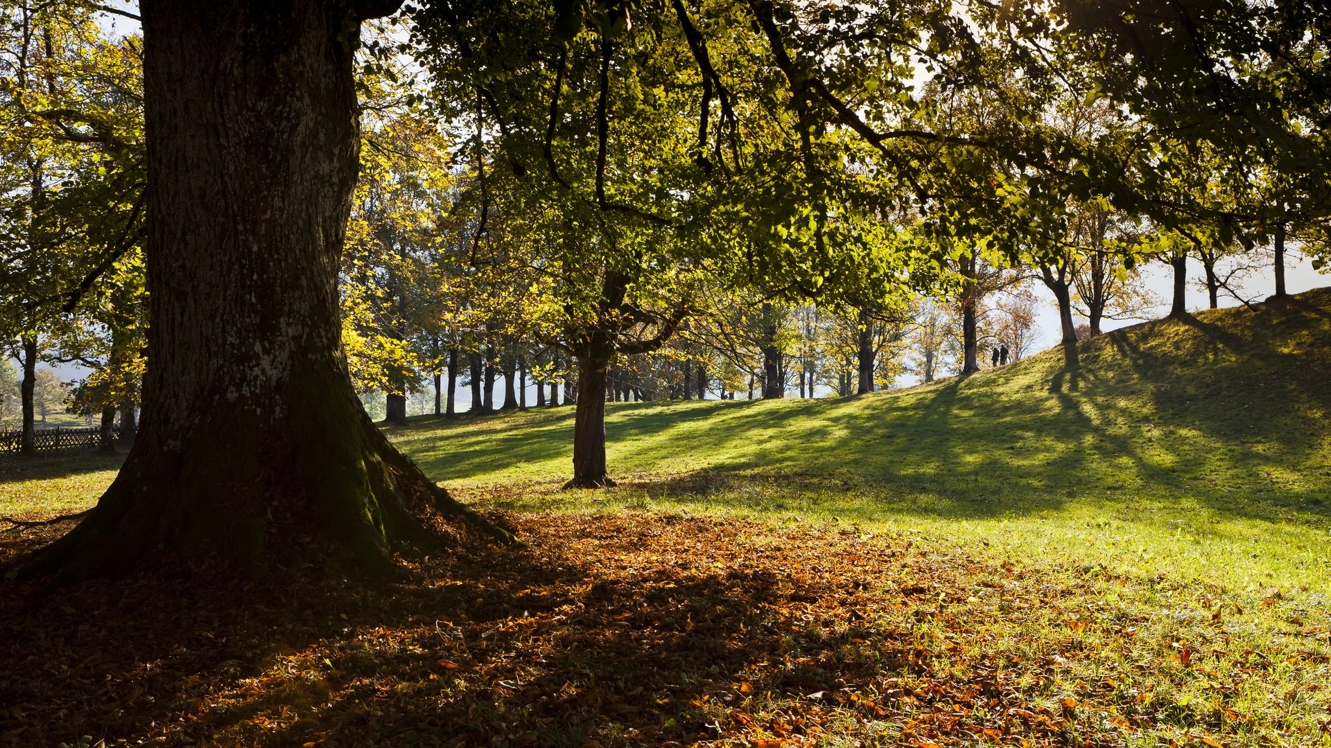 Hofmannsruh Herbst 1