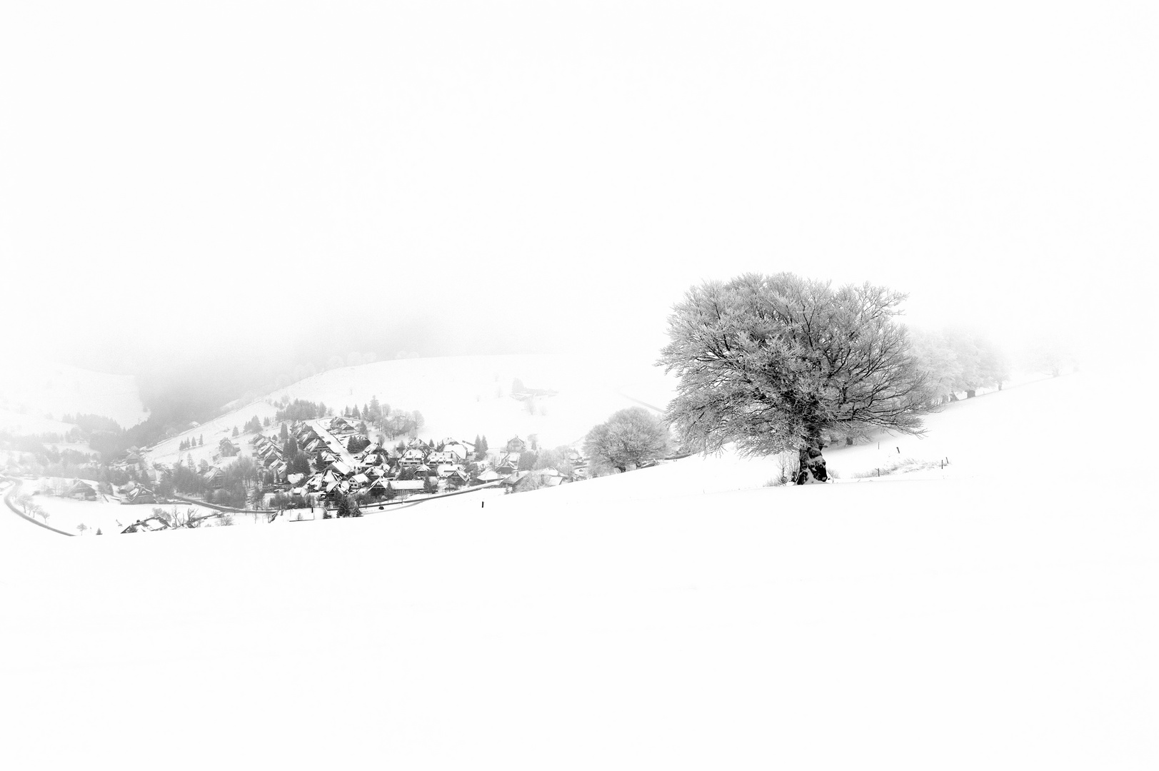 Hofsgrund im Schwarzwald