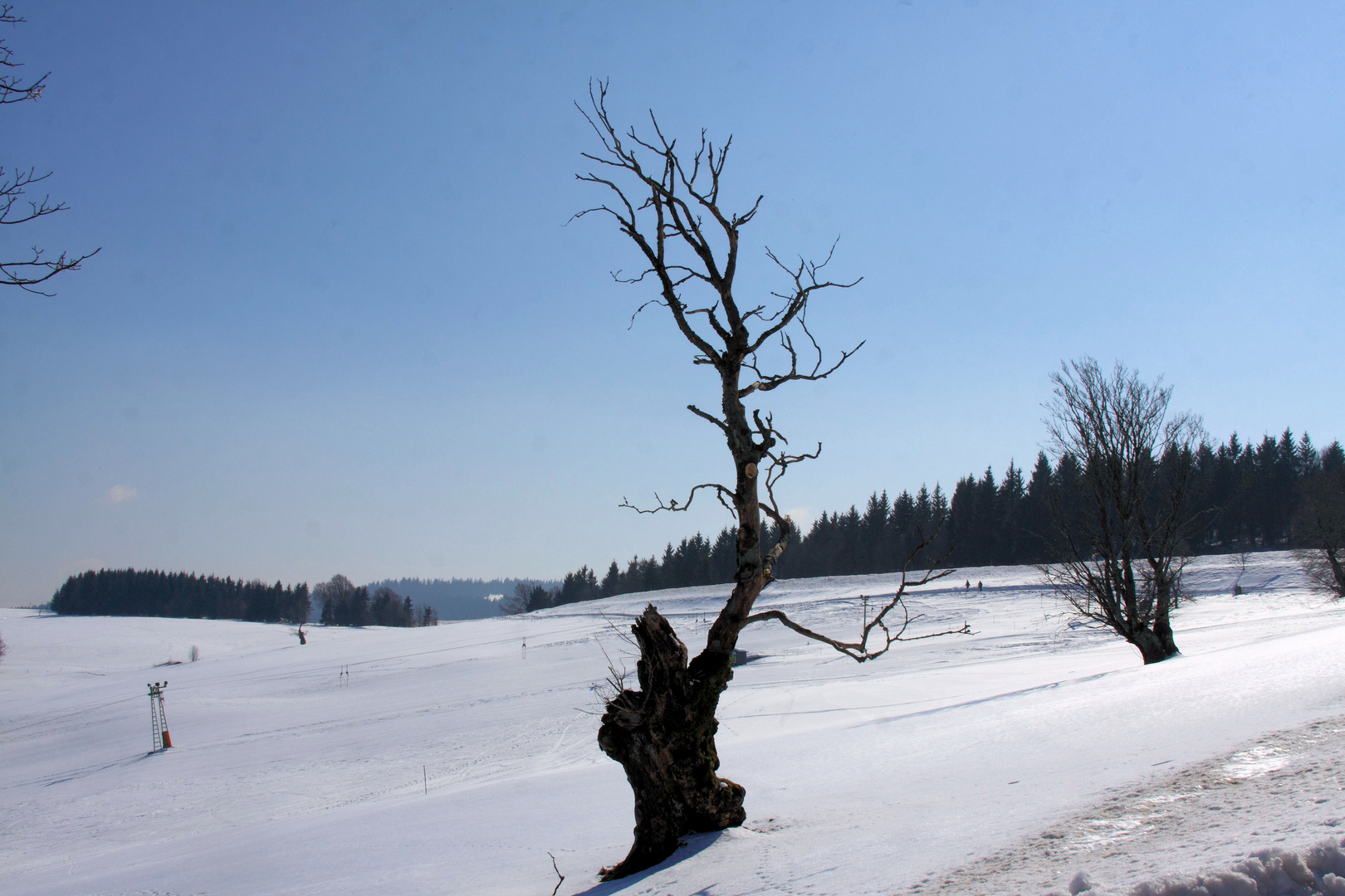 Hofsgrund - Windbuche