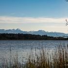 Hofstätter See im Frühling mit Alpenkette