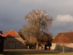 Hofstelle Grindau (3)