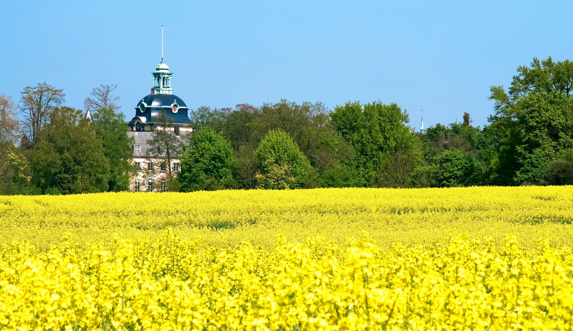 Hofwiesen Schloss Bückeburg