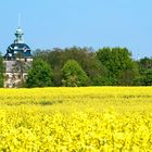 Hofwiesen Schloss Bückeburg