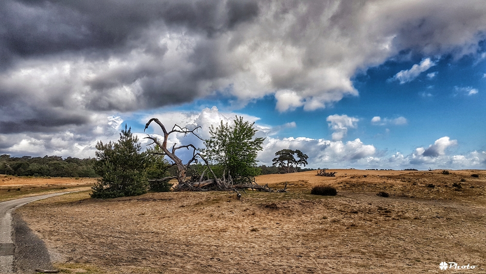 Hoge Veluwe