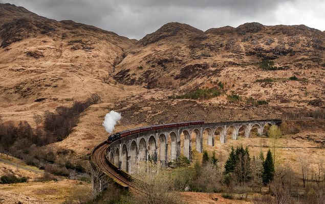 Hogwarts Express