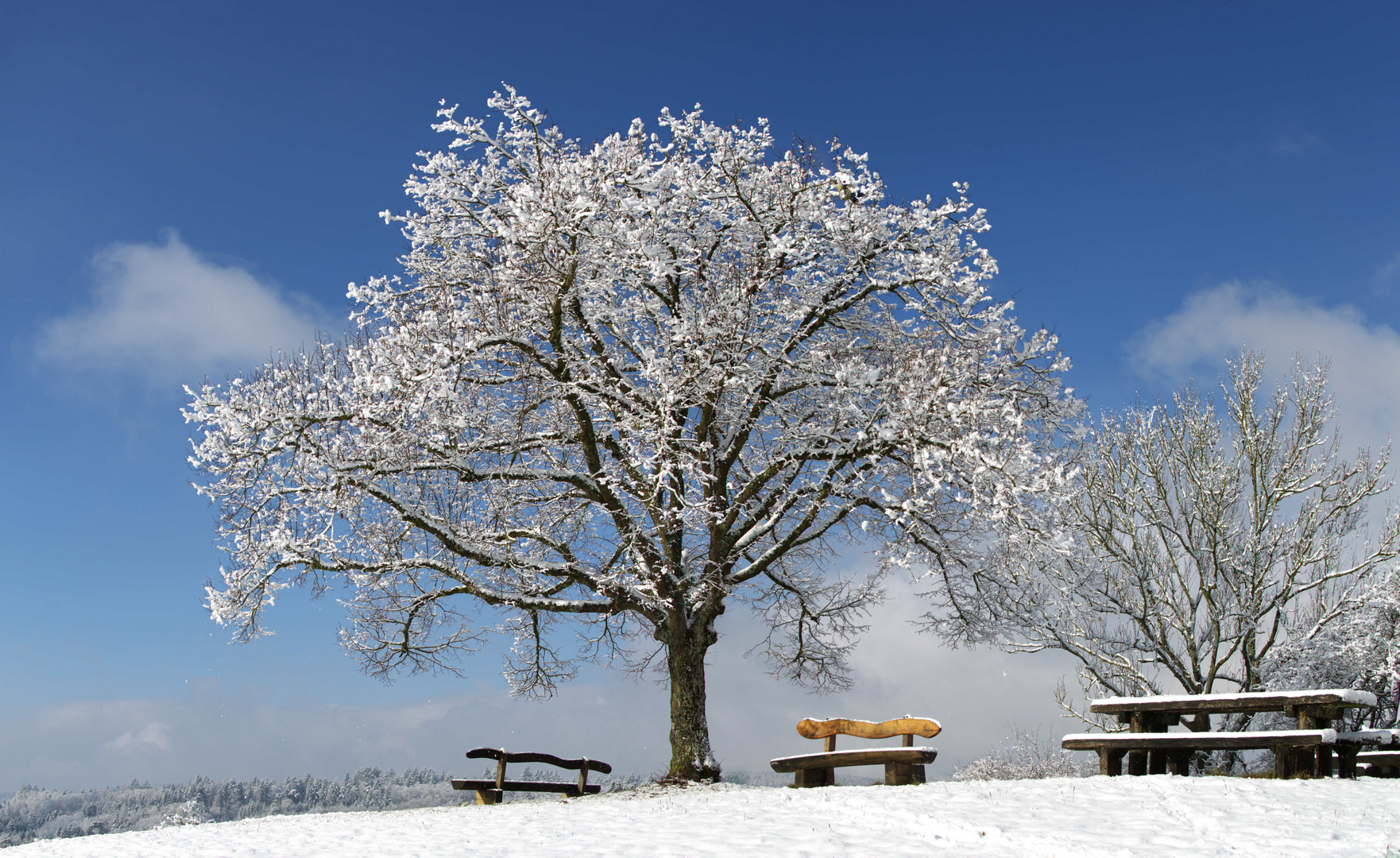 Hohberg_Winter