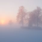 Hohburkersdorfer Rundblick