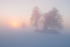 Hohburkersdorfer Rundblick