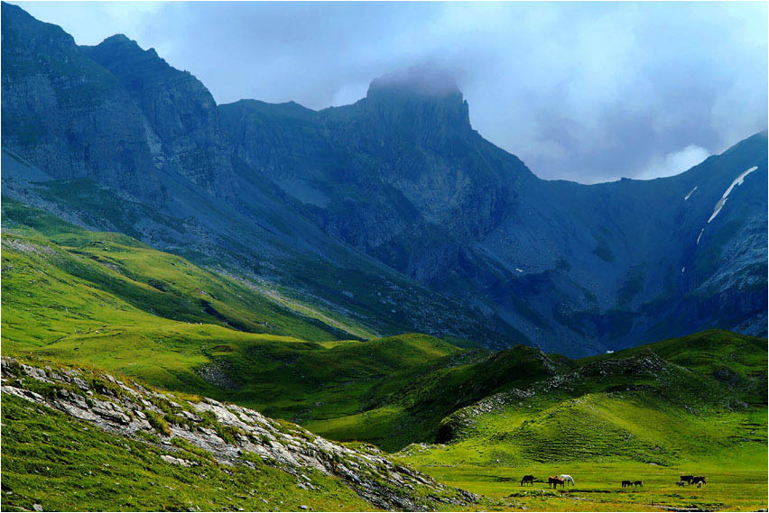Hohe Berge kleine Pferde Foto Bild landschaft berge Hohe Berge kleine Pferde Foto Bild landschaft berge