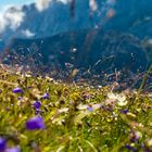 Hohe Berge, wenig Tiefe