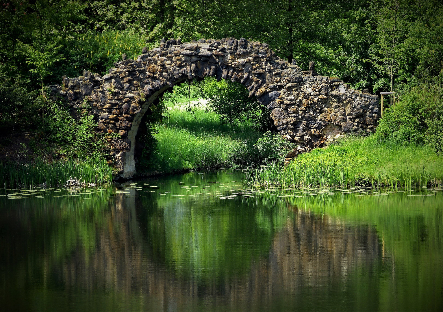 Hohe Brücke im Wörlitzer Park !