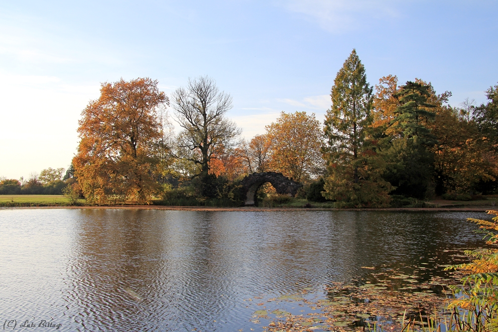 Hohe Brücke Wörlitz