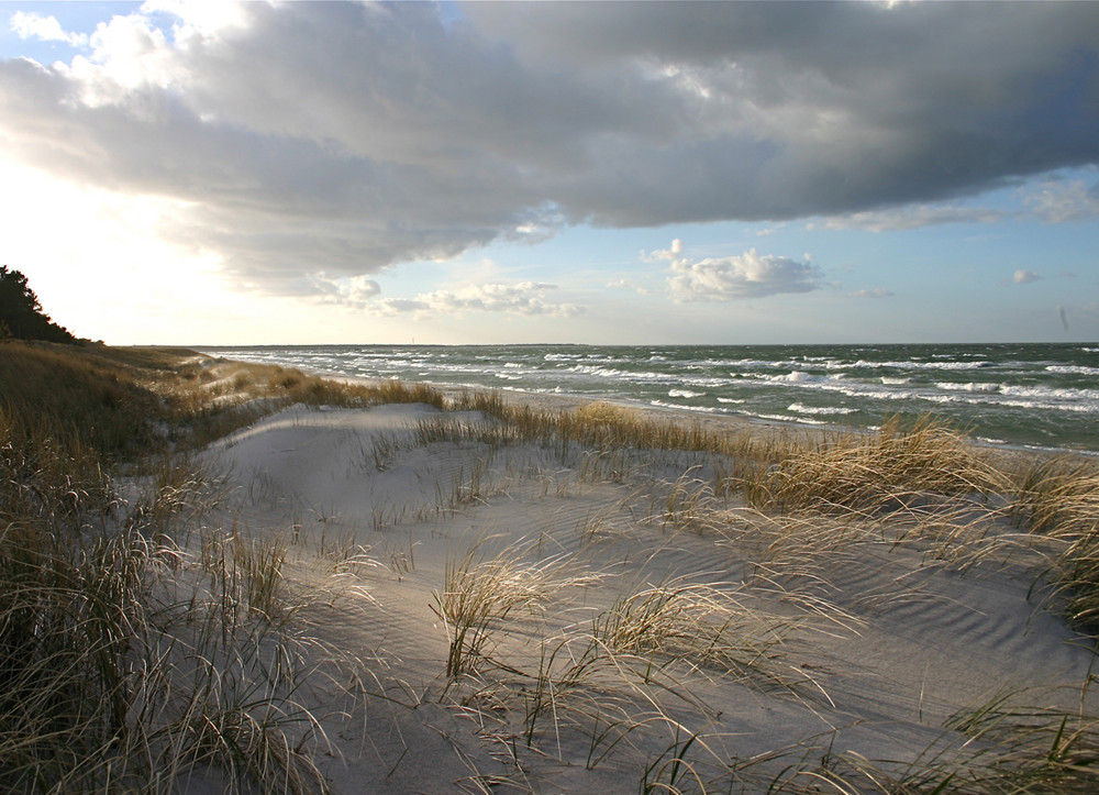 Hohe Düne