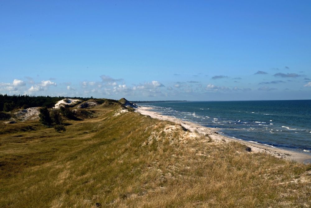 Hohe Düne bei Zingst