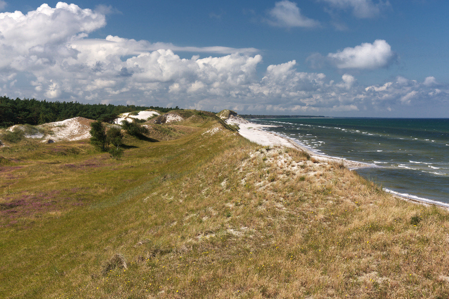 Hohe Düne