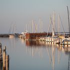 Hohe Düne Hafen