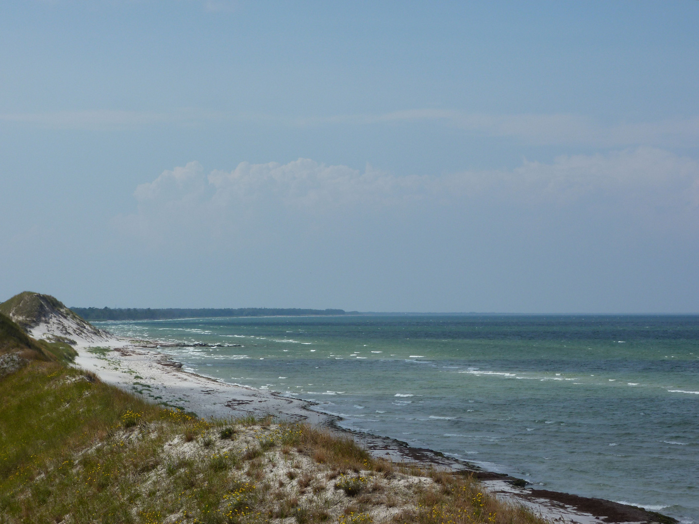 Hohe Düne in Zingst (2)