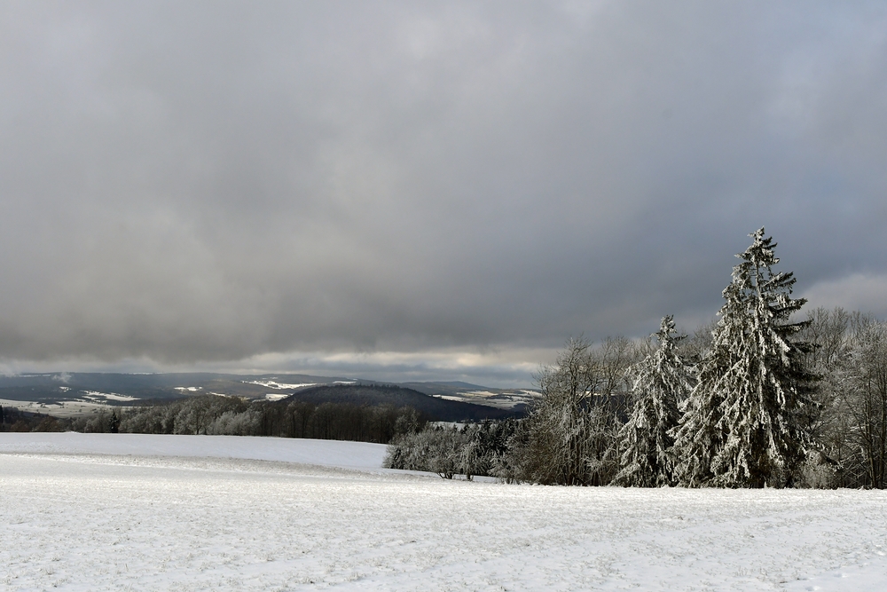 Hohe Geba: Rhönblick – in Richtung Gemeinde Rhönblick