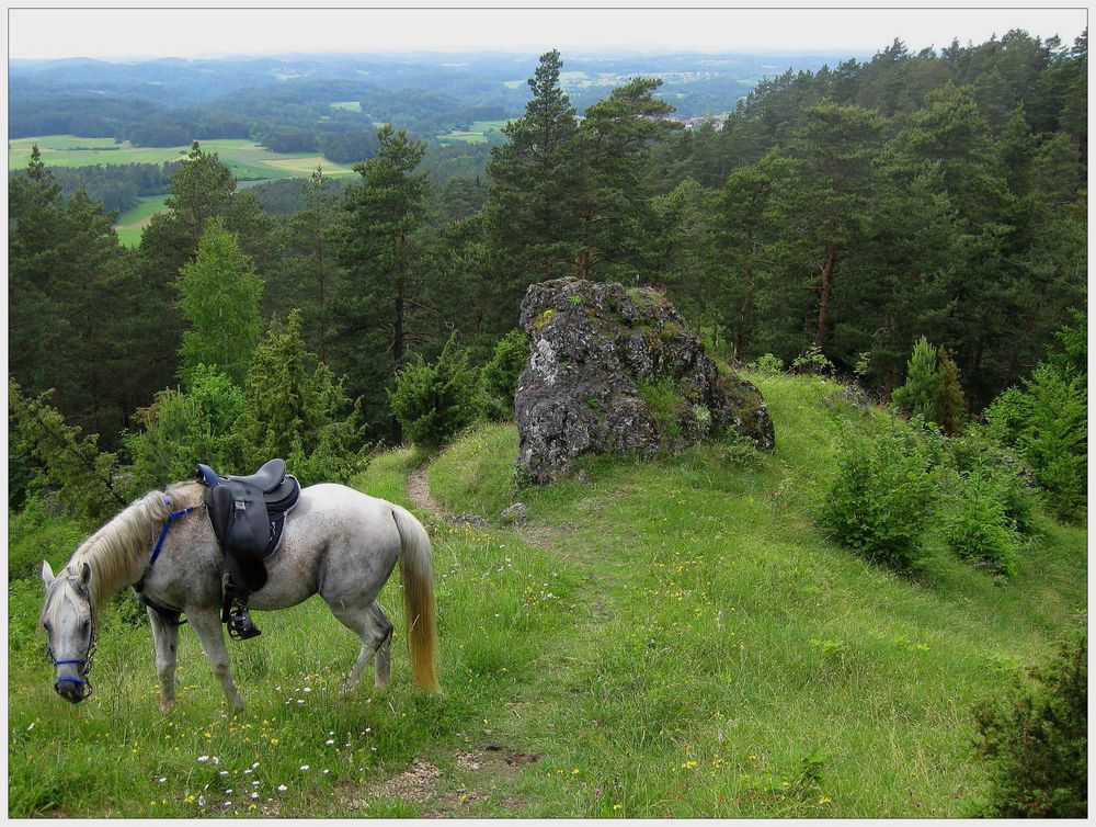 HOHE LEITE (HASSLACH)