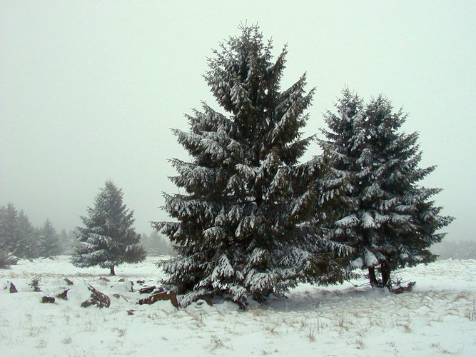 Hohe Rhön