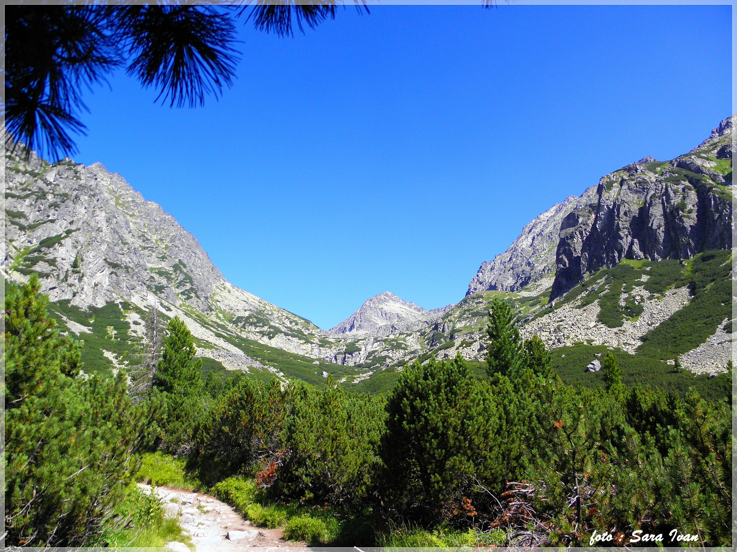 ---HOHE TATRA 1----