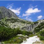 ---HOHE TATRA 3---