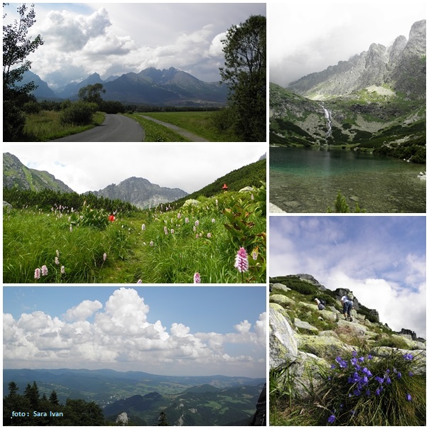 ---HOHE TATRA----