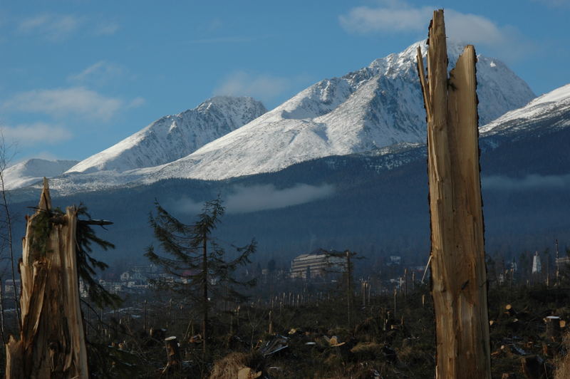 Hohe Tatra nach dem Orkan...