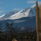 Hohe Tatra nach dem Orkan...