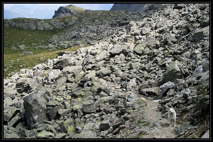 Hohe Tauern 04