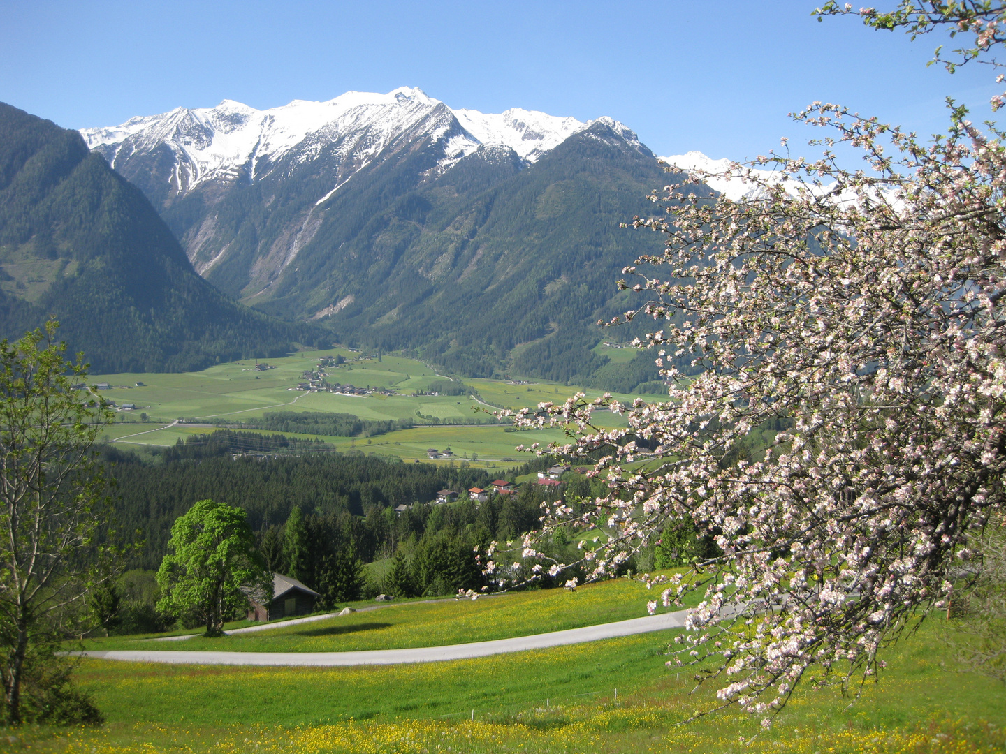 Hohe Tauern