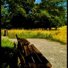 Hohe Temperaturen .....Juni im Rosensteinpark