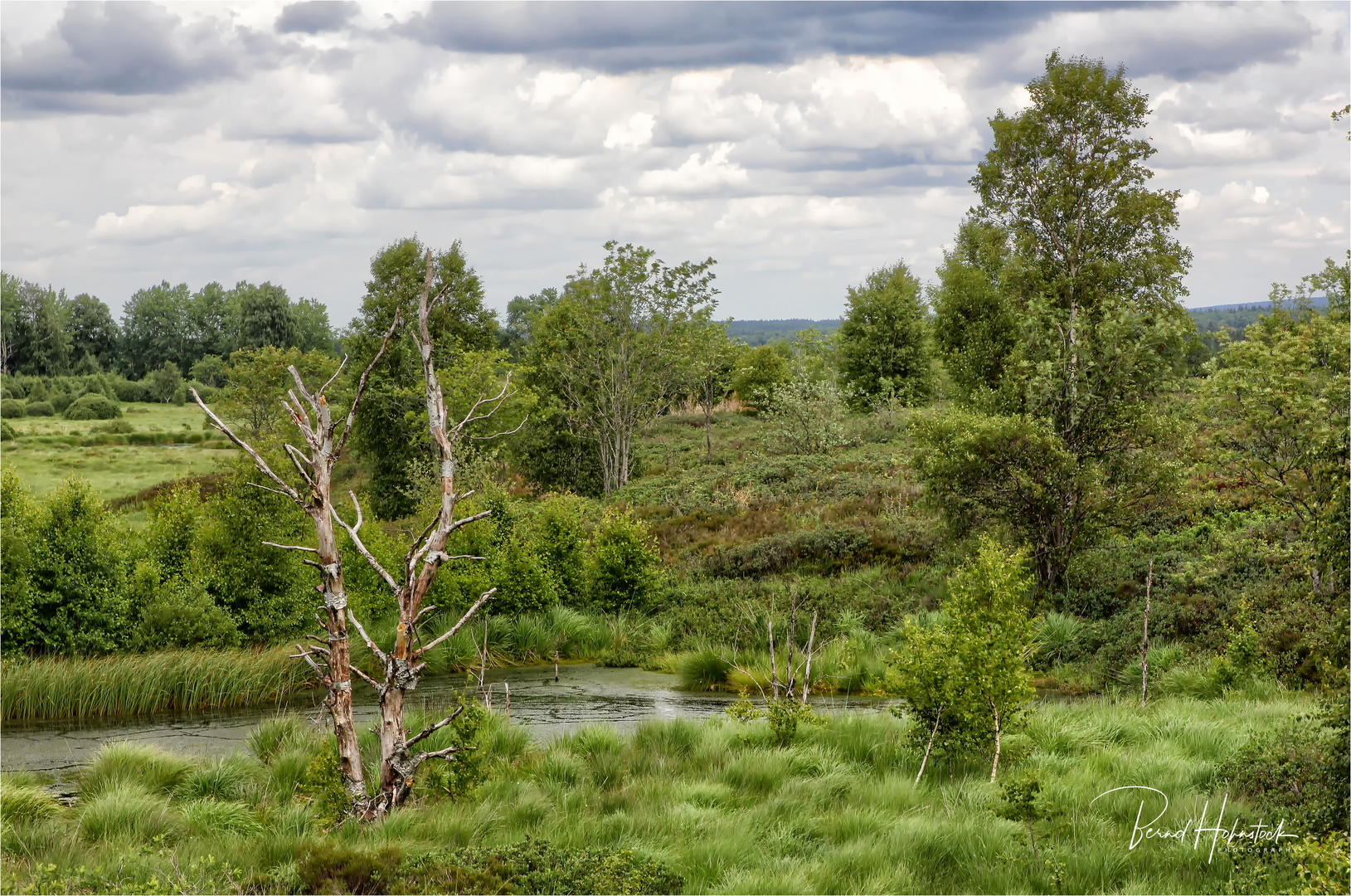 Hohe Venn .... Brackvenn