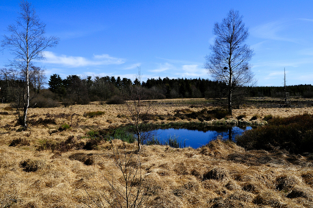 Hohe Venn in Belgien.01 Foto & Bild | landschaft, moor ...