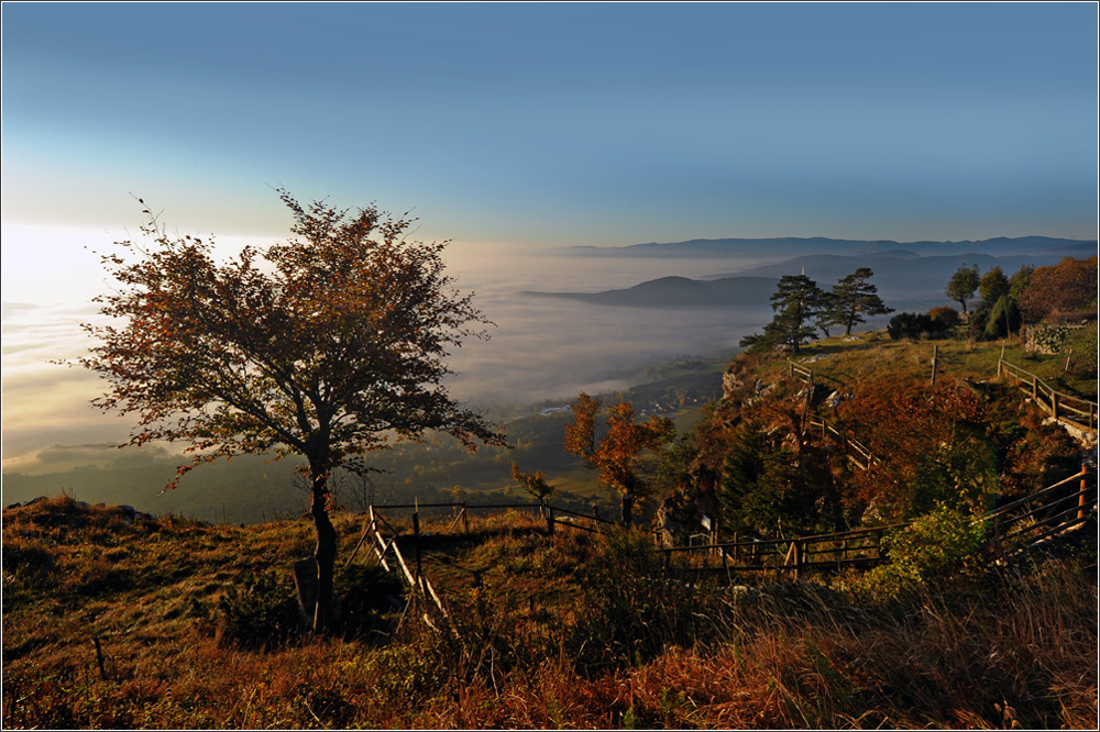 Hohe Wand