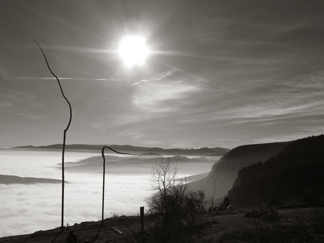 Hohe Wand Niederösterreich