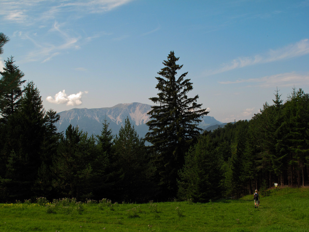 Hohe Wand Nr. 3