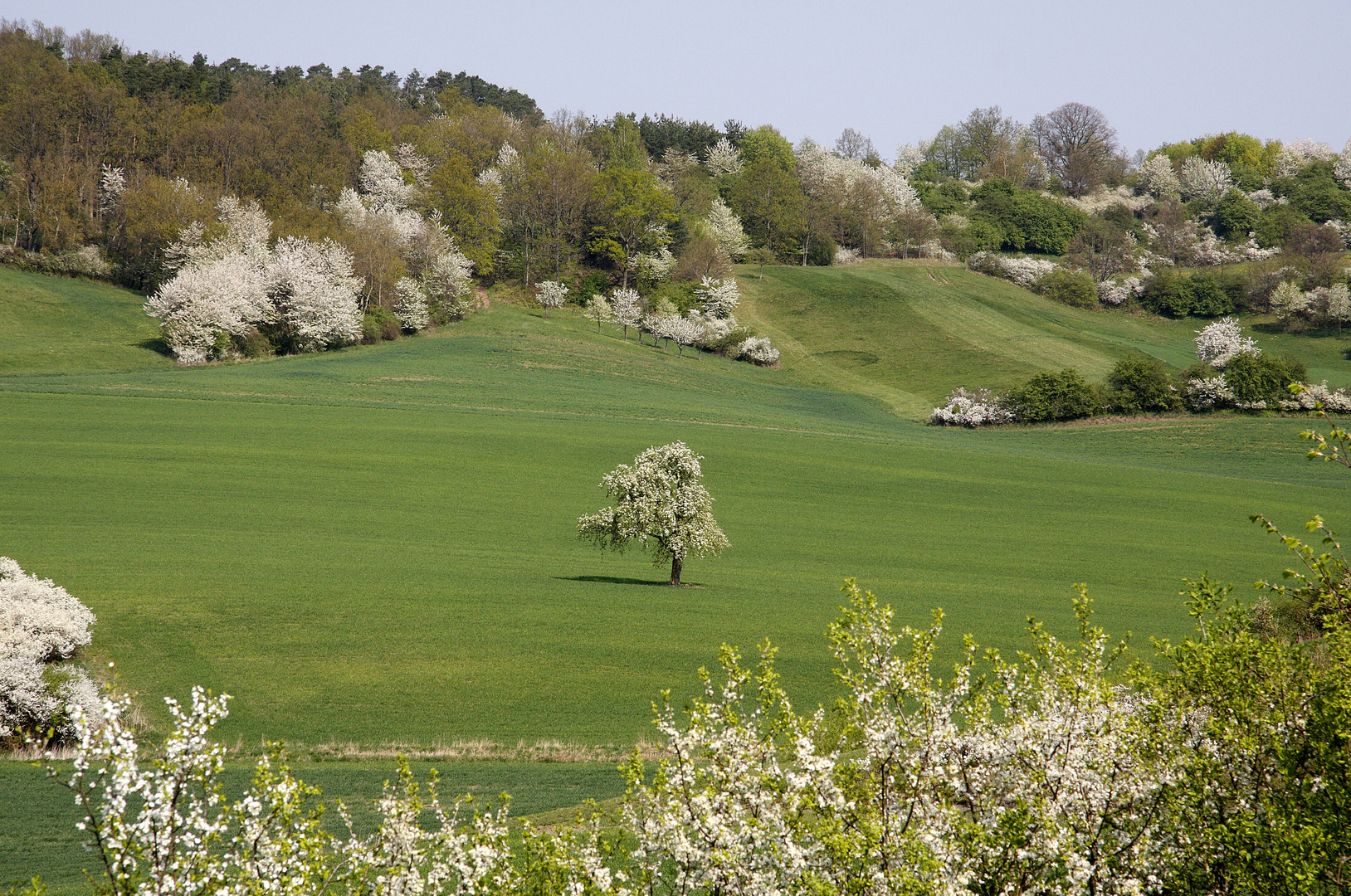 hohe wann