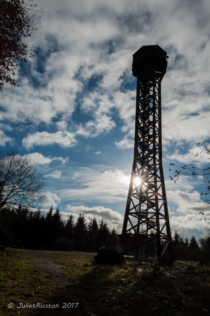 Hohe Warte im Sonnenschein