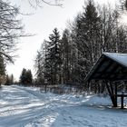 Hohegeiß, Grillplatz am Bechlerstein