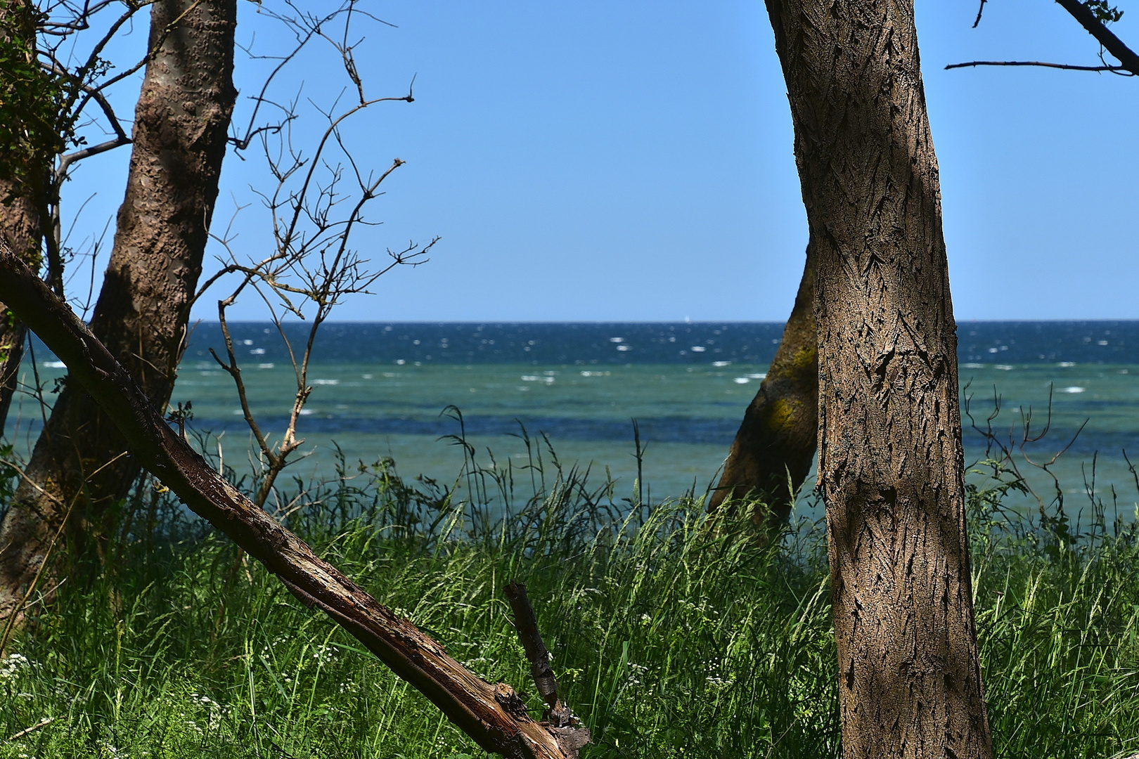 Hohen Wieschendorf / Ostsee