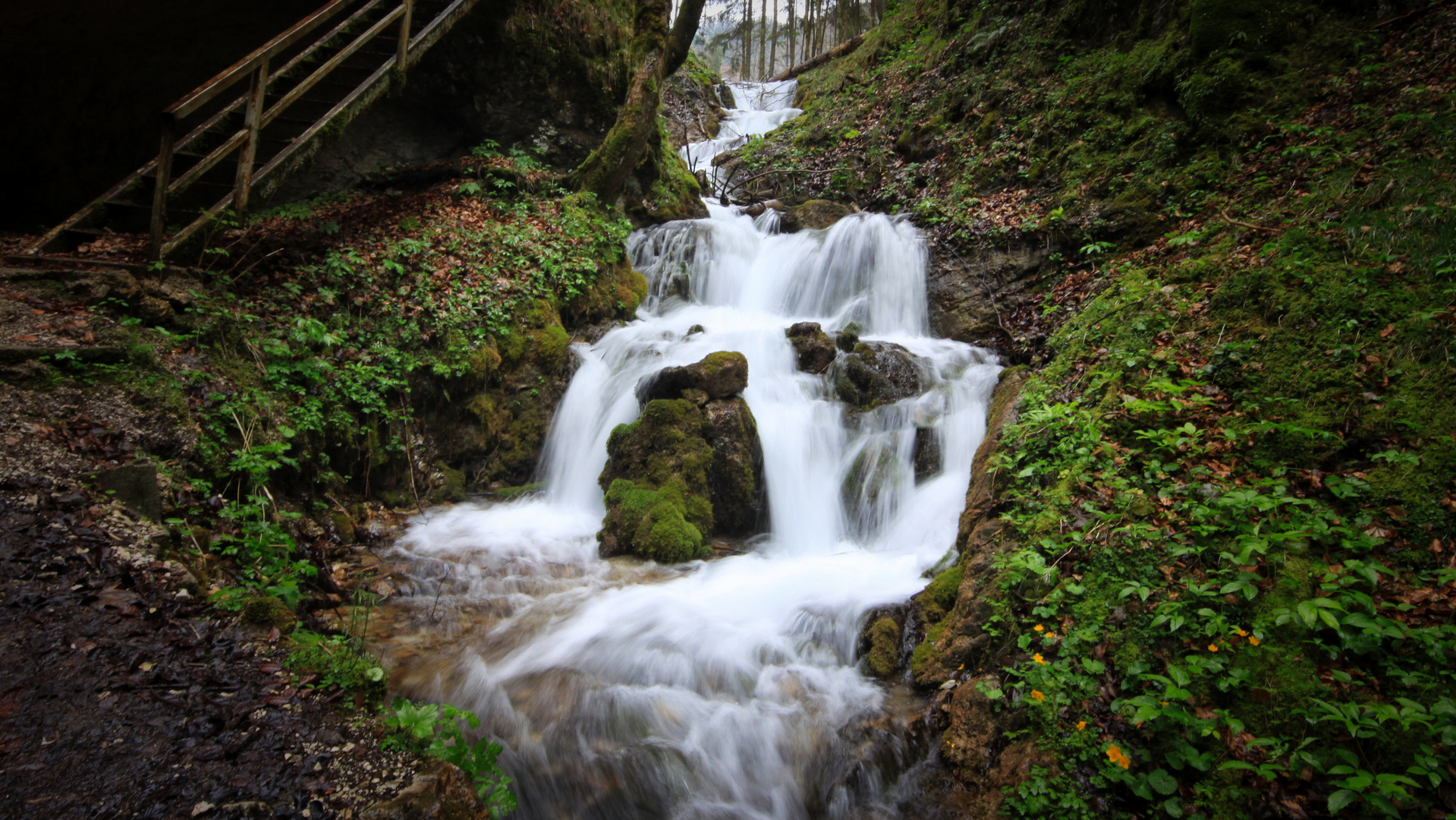 Hohenberger Wasserfall