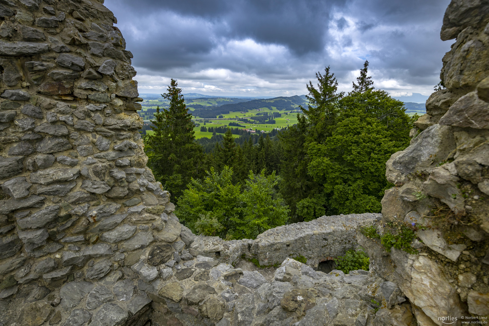 Hohenfreyberg Ruine Grüner Ausblick